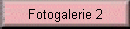 Fotogalerie 2